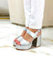 Imagen de Sandalia Chelsea Plata