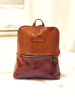 Imagen de Mochila Quidditch Whisky Milano Lagarto