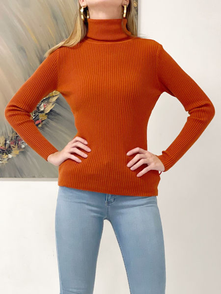Imagen de Polera Winona Terracota