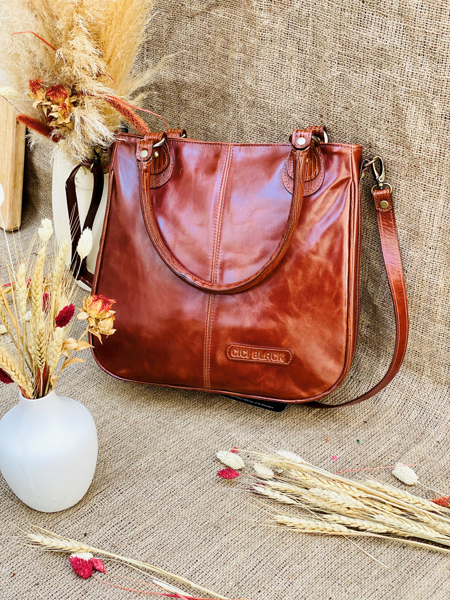 Imagen de Cartera Brit Whisky Milano Lagarto