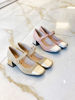Imagen de Zapato Wavre Champagne Vison