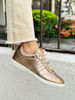 Imagen de Sneaker Harvey Champagne