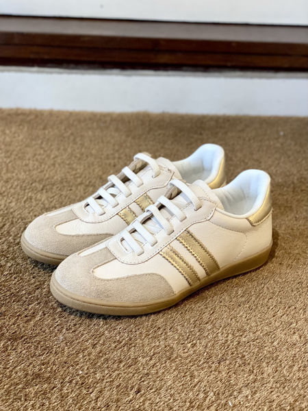 Imagen de Sneaker Harvey Beige y Oro
