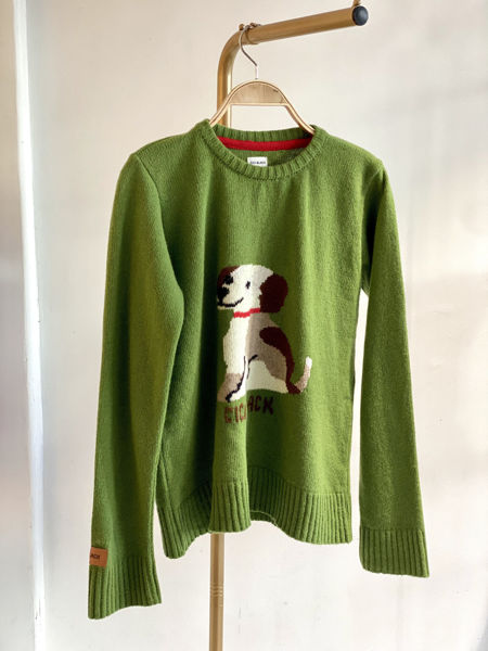 Imagen de Buzo Lana Puppy Pistacho